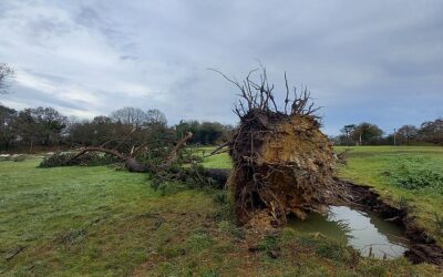 Le choc de la tempête