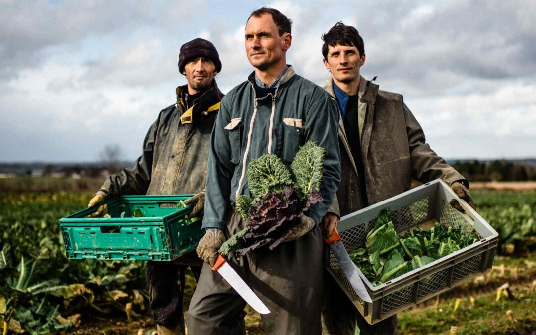 Damien Hervé et deux employés agricoles