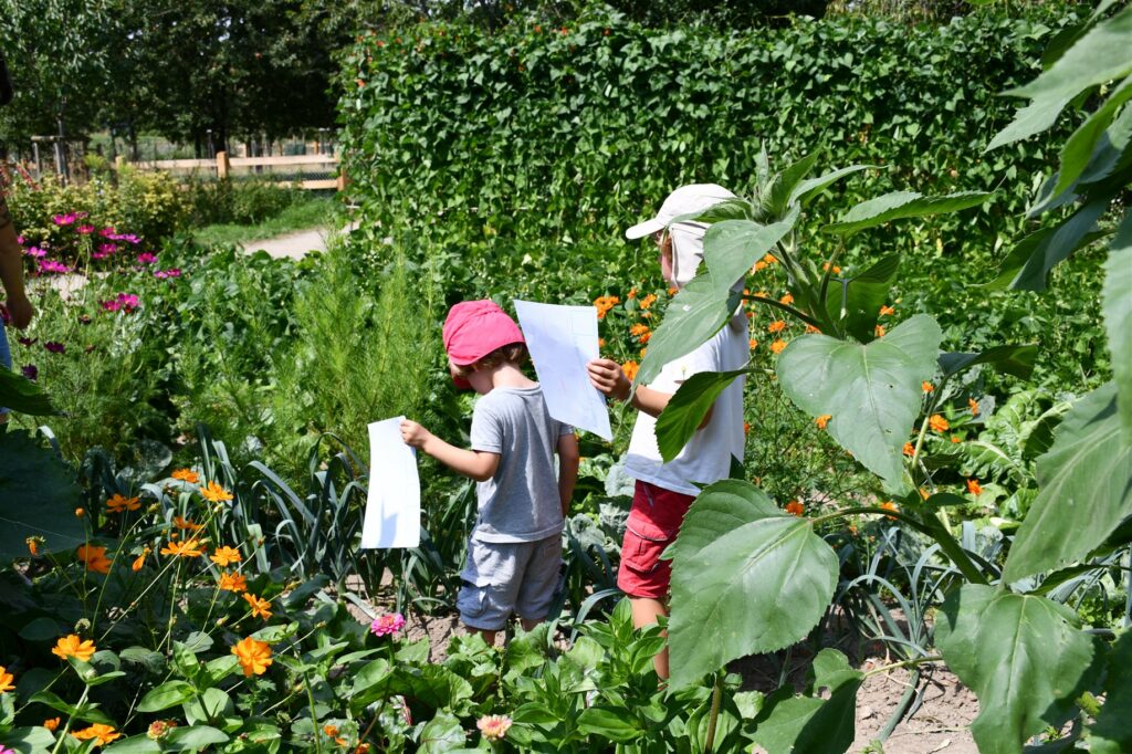 Carte blanche pour donner vie à l'écomusée cet été