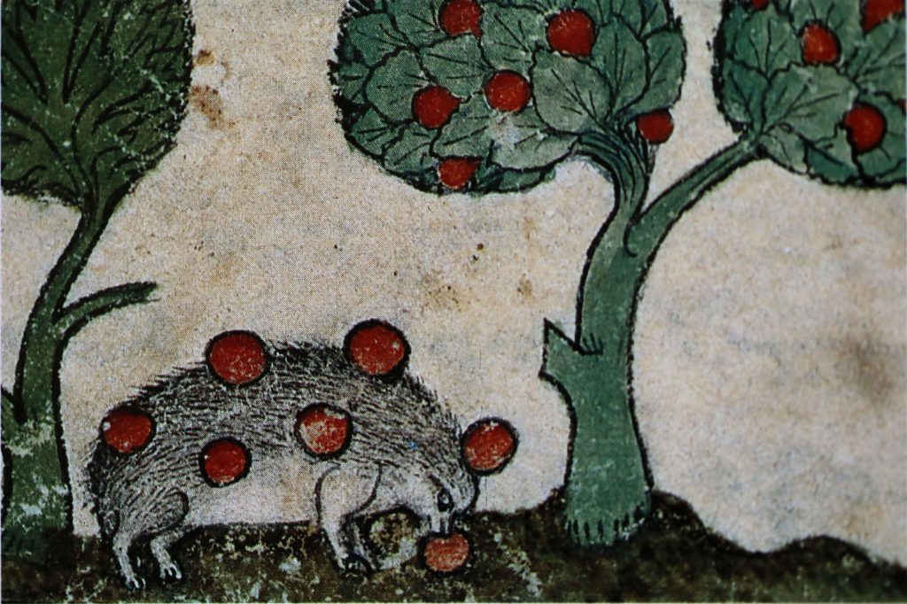 Écomusée de la Bintinais.