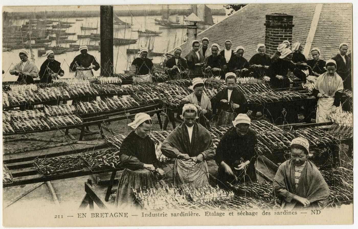  Crédit du visuel : Archives départementales du Finistère, 2 Fi 46/260